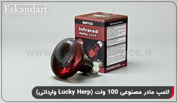 لامپ مادر مصنوعی 100 وات (وارداتی)